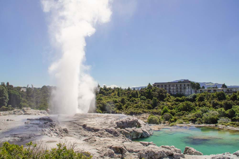 Te Pohutu geyser at Te Puia