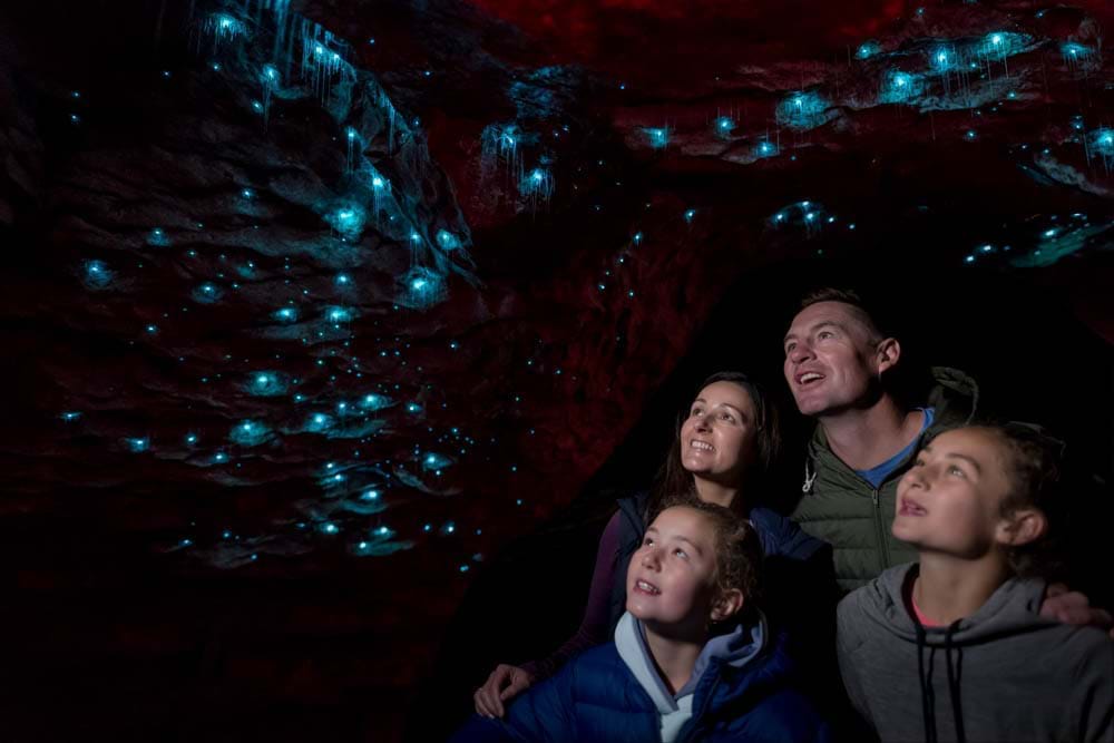 Glow worm caves tour with Real Journeys