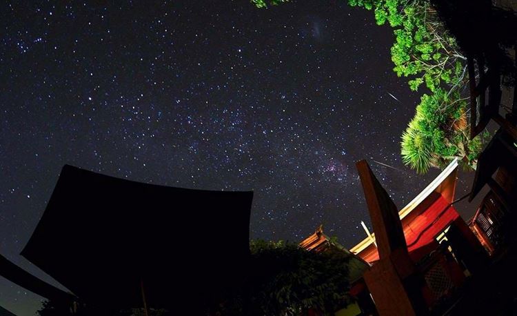 back garden in evening with starry night in golden bay new zealand